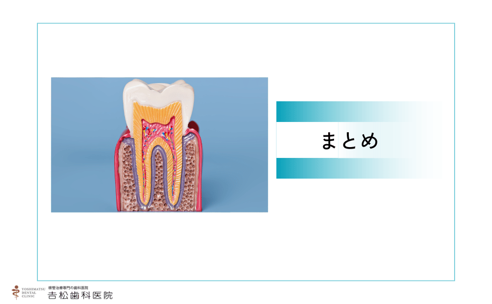 正しい手順とケアで歯を長く守ろう