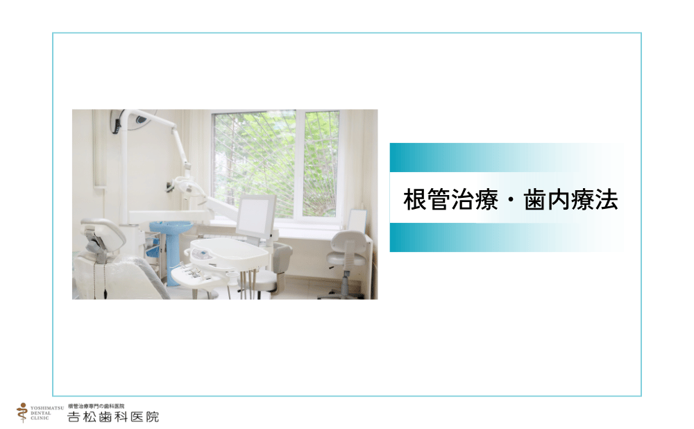 歯を残すために重要な根管治療・歯内療法